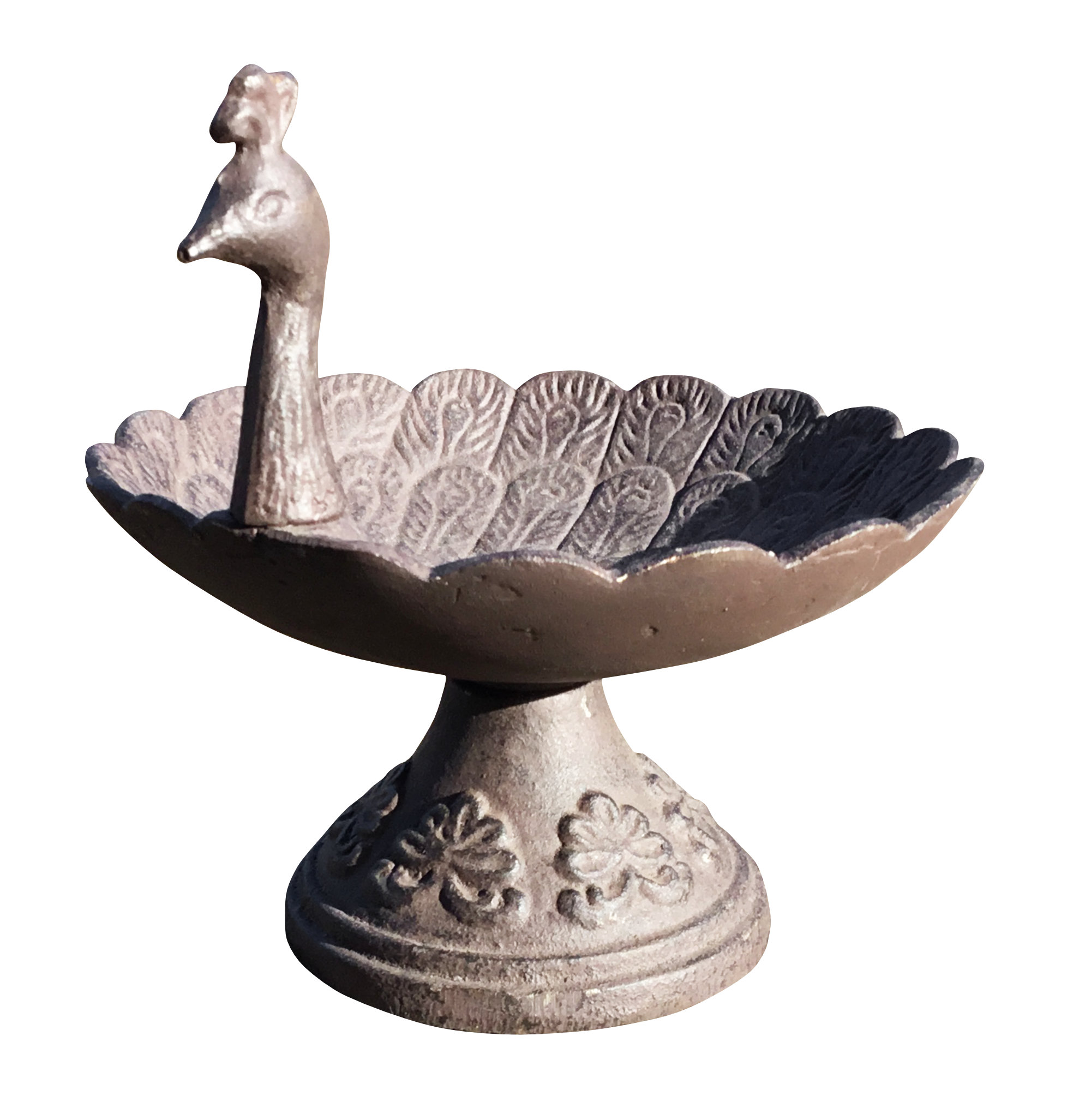 Peacock Bird Feeder